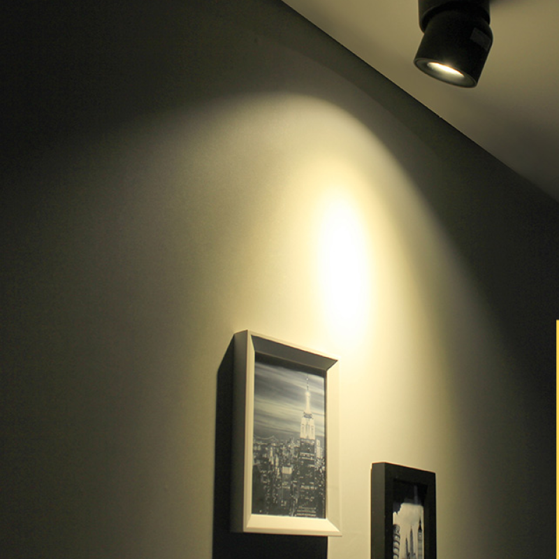 Lurix Spot Nowoczesna Lampa Sufitowa LED Natynkowa, Czarny/Biały