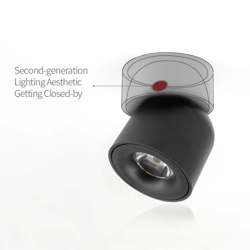 Lurix Spot Nowoczesna Lampa Sufitowa LED Natynkowa, Czarny/Biały