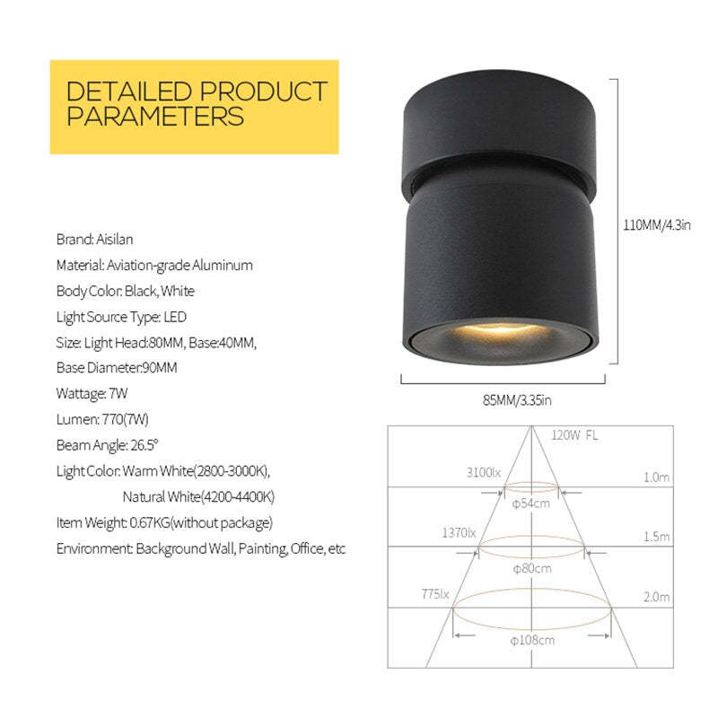 Lurix Spot Nowoczesna Lampa Sufitowa LED Natynkowa, Czarny/Biały